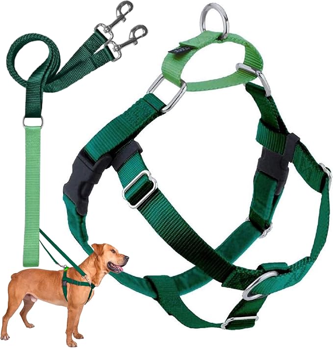 2 Hounds Design Freedom No Pull Dog Harness and Leash, 1" MD, Kelly Green | Promotes Easy Walking & Comfortable Control, Secure Fit, Adjustable Harness and Leash Set for Medium Sized Dogs, Made in USA