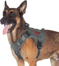 OneTigris Tactical Dog Harness No-Pull Service Vest for Small Medium Dogs | 1000D Pullable Nylon, with Control Handle and Hook & Loop Panels, Easy On & Off, Adjustable for Walking Training Gray M