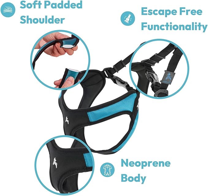 Gooby Escape Free Easy Fit Dog Harness, Step-in, Turquoise, Large | Patented escape-free frame; Contracts if they back out; Step-in easy on/off; Machine washable; Light POM leash ring
