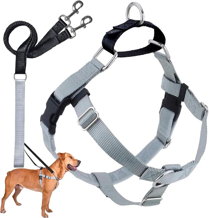 2 Hounds Design Freedom No Pull Dog Harness and Leash, 1" MD, Silver | Promotes Easy Walking & Comfortable Control, Secure Fit, Adjustable Harness and Leash Set for Medium Sized Dogs, Made in USA