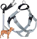 2 Hounds Design Freedom No Pull Dog Harness and Leash, 1" MD, Silver | Promotes Easy Walking & Comfortable Control, Secure Fit, Adjustable Harness and Leash Set for Medium Sized Dogs, Made in USA