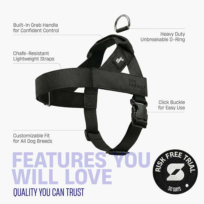 Dog Friendly Co. Dog Harness for Large Dogs (Black, Large) | One Click Buckle, Chafe Resistant Webbing, Adjustable Neck & Chest, and Heavy Duty D-Ring, Sturdy Comfortable and Easy to Use