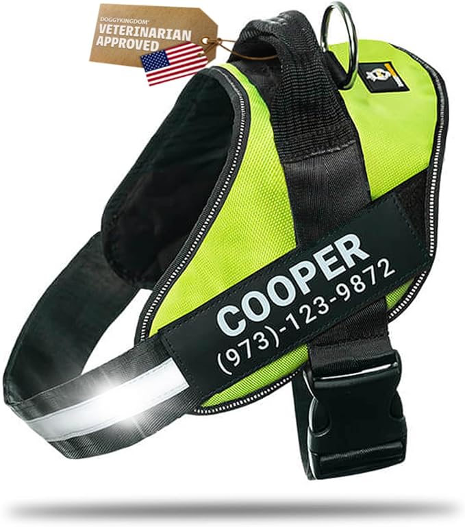 Personalized Dog Harness with Custom Name Patches, Adjustable Reflective No Choke Dog Vest with Handle for Medium Sized Dog, Green, M