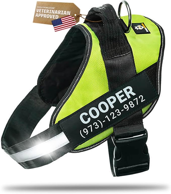 Personalized Dog Harness with Custom Name Patches, Adjustable Reflective No Choke Dog Vest with Handle for Small Dogs and Growing Puppy, Green, XS