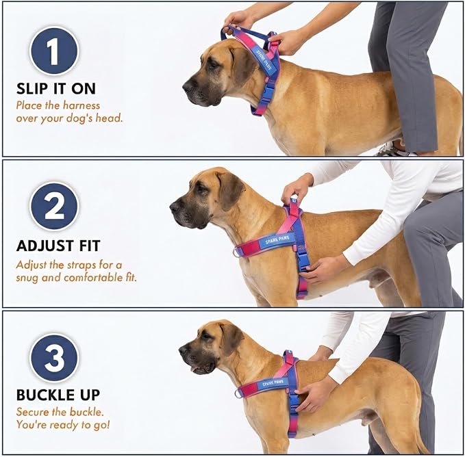 Spark Paws No Pull Front Clip Dog Harness - Easy On, Padded and Lightweight | Two Clips, On in Seconds, Chest Bearing, Australian Style, No Throat Pressure, for Small Medium and Large Breeds