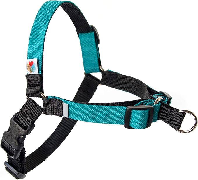 No Pull Dog Harness | Comfortable Dog Training Harnesses | Effective No Pull Harness Design | Ideal Dog Harness for Small Dog and Puppy | 4-Point Adjustable (XS-15~20 inch Girth, Turquoise)