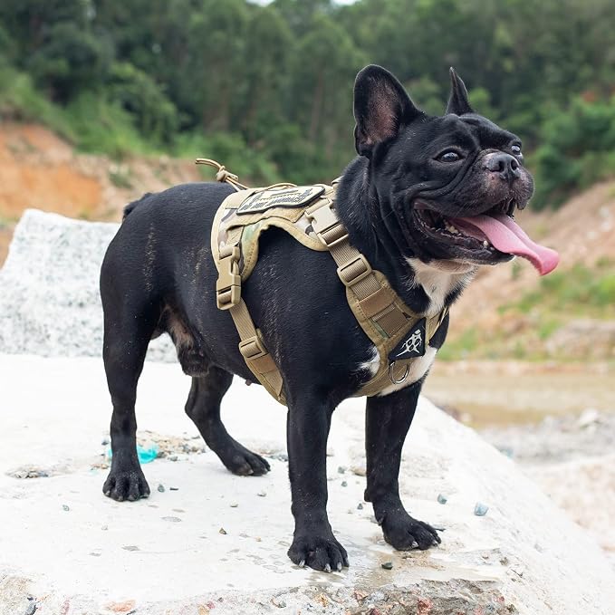 OneTigris Tactical Dog Harness with Handle No-Pull Adjustable for Small Dog | Military 1000D Pullable Nylon, Service Dog Vest with Hook & Loop Panels, Easy On & Off for Walking Hiking Training Camo XXS