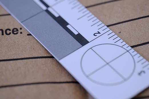 No. 2 Photomacrographic Scale - Inches - (Case of 5)