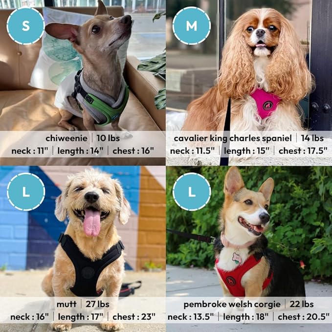 Gooby Escape Free Sport Dog Harness, Choke-Free, Lime, Large | Patented escape-free frame; Reduces choking; 4-point adjustment; Soft neoprene padding; Durable webbed straps