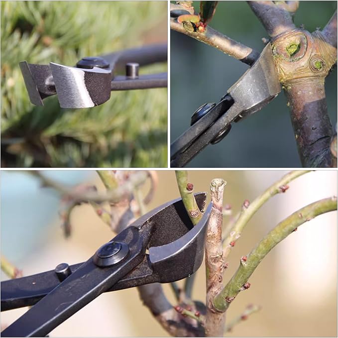 11 inch Manganese Steel Bonsai Concave Cutter, with Long Ergonomic Handle, Pruning Shear Scissor for Cultivating Shaping Small to Medium Sized Bonsai Trees, Removing Branches Twigs