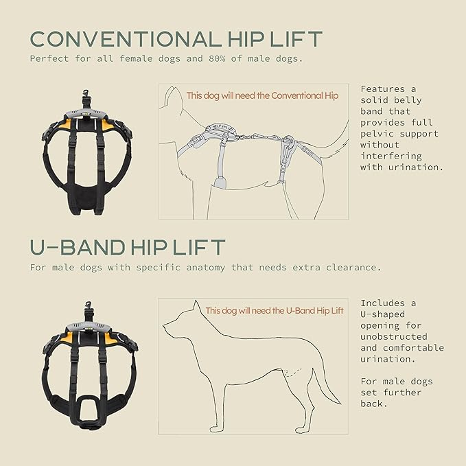 Help 'Em Up® - Dog Lift Harness│ Adjustable Lifting Harness for Dogs │ Full Body Support, Rear Leg Support (Conventional, Medium, 45-80 lbs)