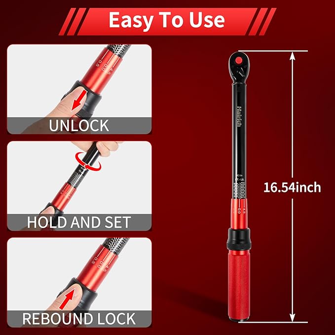 Hairich 3/8-Inch Torque Wrench, Dual-direction Torque Wrenches 10-100ft.lb/13.6-135.6Nm, 72-Tooth Dual Range Scales Torque Wrench with Quick Release Reversible Head