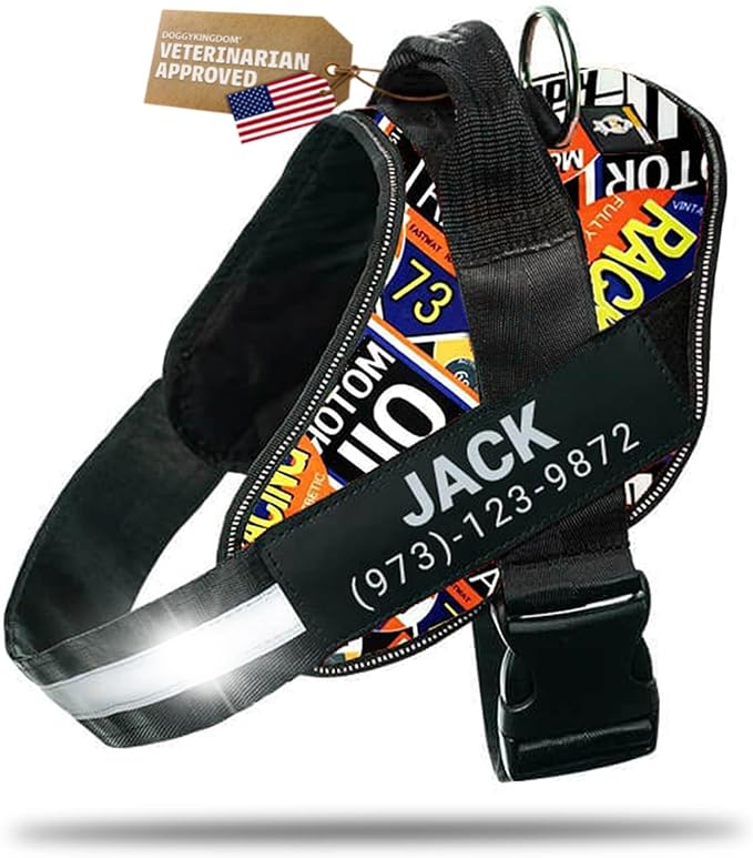 Personalized Dog Harness with Custom Name Patches, Adjustable Reflective No Choke Dog Vest with Handle for Large Dogs, Motorsport, L
