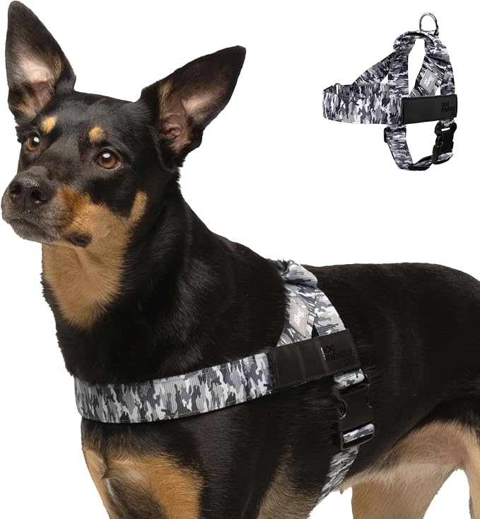 Dog Friendly Co. Dog Harness for Small Dogs (Grey Camo, Extra Small) | One Click Buckle, Chafe Resistant Webbing, Adjustable Neck & Chest, and Heavy Duty D-Ring, Sturdy Comfortable and Easy to Use