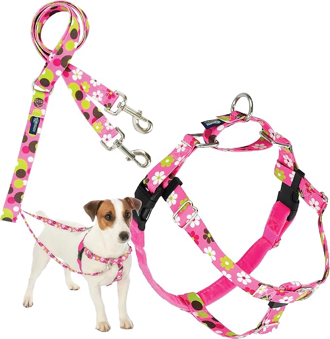 2 Hounds Design - Freedom No-Pull Harness & Training Leash in Pink Daisy | Dual Leash Loops, No Pulling on Walks | Lined to Prevent Chaffing | for Small Sized Dogs (Size S, Chest 20”- 24”)