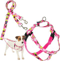 2 Hounds Design - Freedom No-Pull Harness & Training Leash in Pink Daisy | Dual Leash Loops, No Pulling on Walks | Lined to Prevent Chaffing | for Small Sized Dogs (Size S, Chest 20”- 24”)