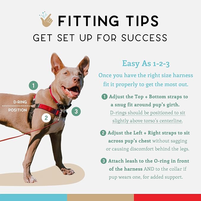 No Pull Dog Harness | Comfortable Dog Training Harnesses | Effective No Pull Harness Design | Ideal Dog Harness for Small Dog and Puppy | 4-Point Adjustable (S - 18~24 inch Girth, Red)