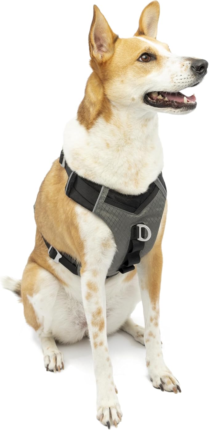 Kurgo Journey Air Dog Harness, Black, Extra Large | Padded Chest, Ripstop Outer & Breathable Mesh, Back Assist Handle, Rust-Free Aluminum Hardware, Reflective Trim