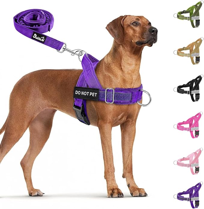 SlowTon No Pull Dog Harness with Front Clip - Heavy Duty, Soft Padded | Neck & Chest Adjustable, Tactical Pet Vest and Leash Set for Large Medium Sized Dogs, for Easy Walk & Training, Purple M