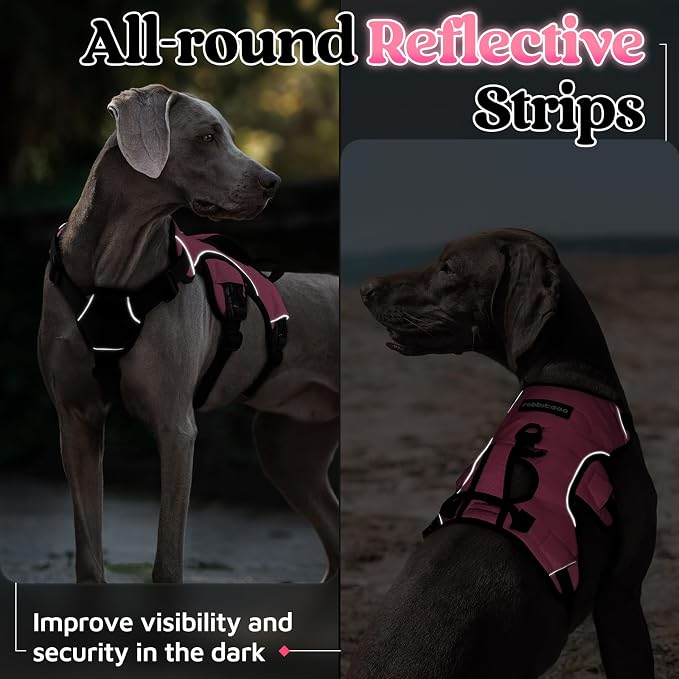 rabbitgoo Escape Proof Dog Harness for Medium, No Pull with Lift Handle | No Escape, Full Soft Padded, Reflective Adjustable Vest, Leash Clip for Walking Hiking Training, Pink, Medium