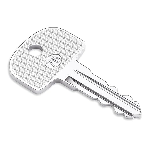 Heavy Ignition Keys, 10Pcs 601 Sany Key fits Sany Mini Excavator Crane Ferris Mower Bluebird School Polaris Snowmobile Broderson and Bus