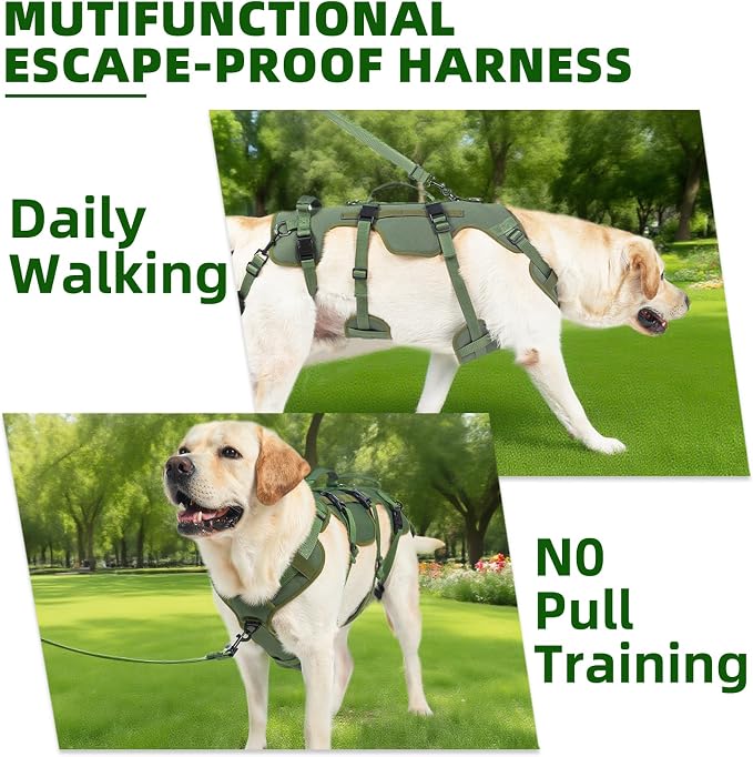 PUPTECK Dog Lift Harness for Medium Large Sized Dog, Rehabilitation Sling for Hind Leg Support, Multifunctional Mobility Assistance Harness for Old, Disabled, Joint Injuries, Paralysis Dogs, Green L