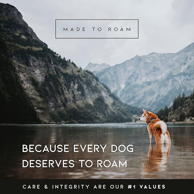 MADE TO ROAM Premium Explorer Harness - Y-Shaped Dog Harness with Adjustable Durable Nylon, Soft Padding, Metal Buckles and Leather Handle for Small, Medium, Large Dogs (Colorado Nightsky, Size 2)
