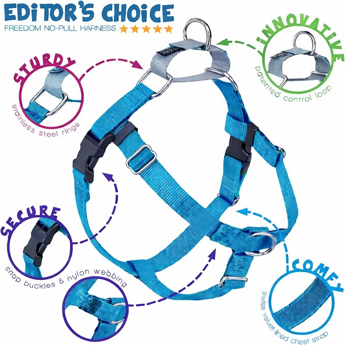 2 Hounds Design Freedom No Pull Dog Harness, 1 inch XL, Turquoise | Discourages Pulling, Comfortable Control Adjustable Dog Harness for Extra Large Sized Dogs, Made in USA (Leash Not Included)