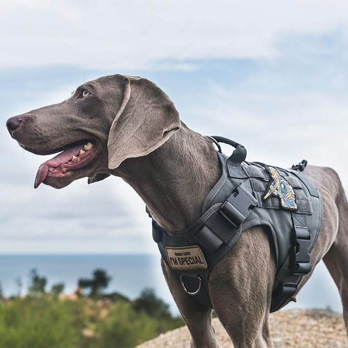 OneTigris Tactical Dog Harness No-Pull Service Vest for Small Medium Dogs | 1000D Pullable Nylon, with Control Handle and Hook & Loop Panels, Easy On & Off, Adjustable for Walking Training Gray M
