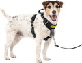 PetSafe Easy Walk Comfort No Pull Dog Harness, Black, Small | Stops Pulling on First Use with Front Martingale Loop, Full-Body Padding, 5-Point Adjustable Fit