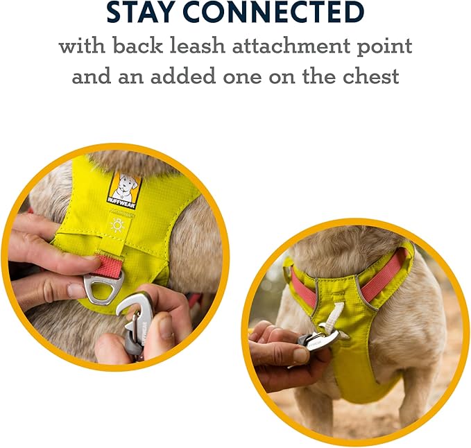Ruffwear, Hi & Light, Everyday Lightweight Dog Harness, Trail Running, Walking, Hiking, All-Day Wear, Basalt Gray, XX-Small