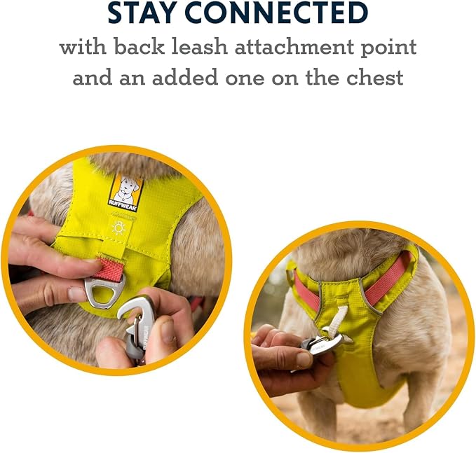 Ruffwear, Hi & Light, Everyday Lightweight Dog Harness, Trail Running, Walking, Hiking, All-Day Wear, Lichen Green, Medium