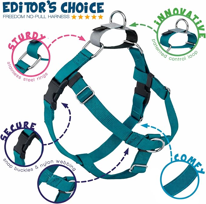 2 Hounds Design Freedom No Pull Dog Harness and Leash, 5/8" MD, Teal | Promotes Easy Walking & Comfortable Control, Secure Fit, Adjustable Harness and Leash Set for Medium Sized Dogs, Made in USA