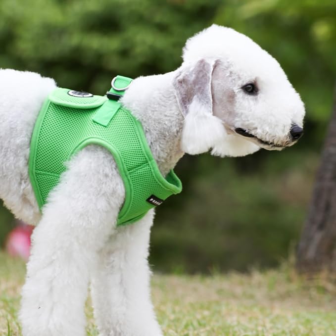 PUPPIA International Puppia Harness Soft B Vest Green XLarge