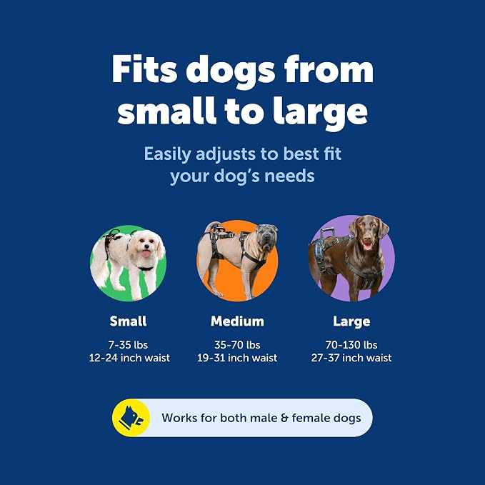 PetSafe CareLift Dog Lift Harness, Full Body, Large | Lift Sling for Dogs, Full-Body Support for Elderly, Arthritic or Recovering Dogs, Padded Shoulder Strap, Machine Washable