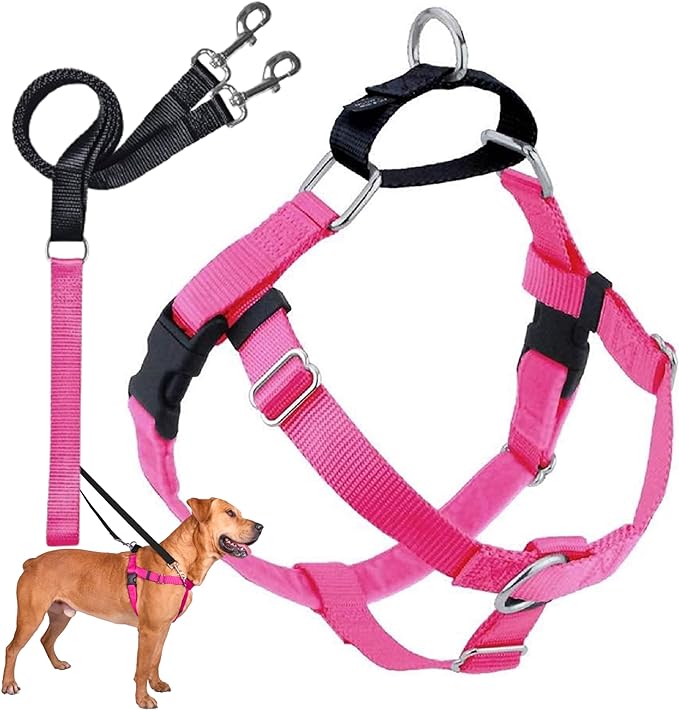 2 Hounds Design Freedom No Pull Dog Harness and Leash, 1" LG, Hot Pink | Promotes Easy Walking & Comfortable Control, Secure Fit, Adjustable Harness and Leash Set for Large Sized Dogs, Made in USA