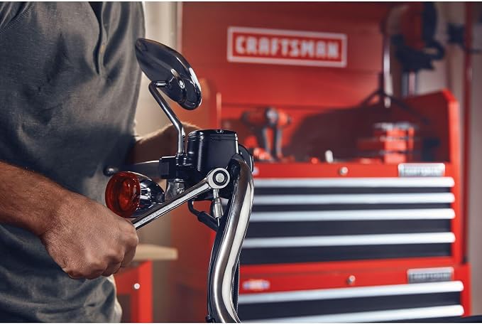 CRAFTSMAN Ratcheting Wrench Set, Metric, 11-Piece (CMMT87021)