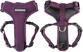 Adventure Dog Harness - Stylish, and Durable Medium Dog Harness for Outdoor Adventures and Everyday Wear - Plum Purple Neoprene Adjustable Harness for Dogs with Reflective Piping, Brass D-Ring