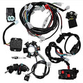 Hoypeyfiy Complete Electric Wiring Harness Wire Magneto Stator for GY6 150cc Performance Parts 4-Stroke Engine 125cc 150cc Pit Bike Scooter ATV Quad