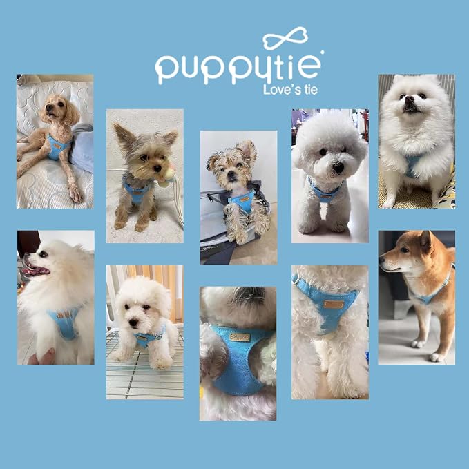 Puppytie Small Dog Harness and Leash Set, Ocean Blue, S (9-17.5 lbs) | Dog Harness Small Sized Dog, Dog Leash for Small Dogs, Soft and Lightweight, Puppytie Dog Harness for Daily Walks