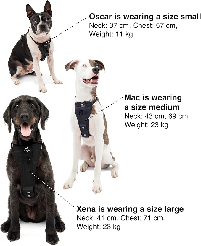 Kurgo Enhanced Strength Tru-Fit Smart Harness, Black, Medium | Crash Tested Car Harness for Dogs up to 75Lbs, Seatbelt Tether & Steel Carabiner, All-Steel Buckles, Padded Chest for Comfort