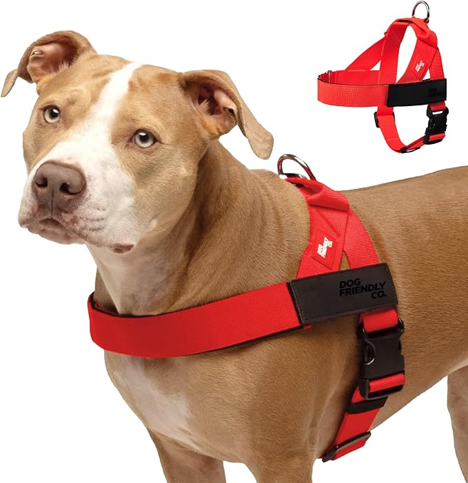 Dog Friendly Co. Dog Harness for Large Dogs (Red, Extra Large) | One Click Buckle, Chafe Resistant Webbing, Adjustable Neck & Chest, and Heavy Duty D-Ring, Sturdy Comfortable and Easy to Use