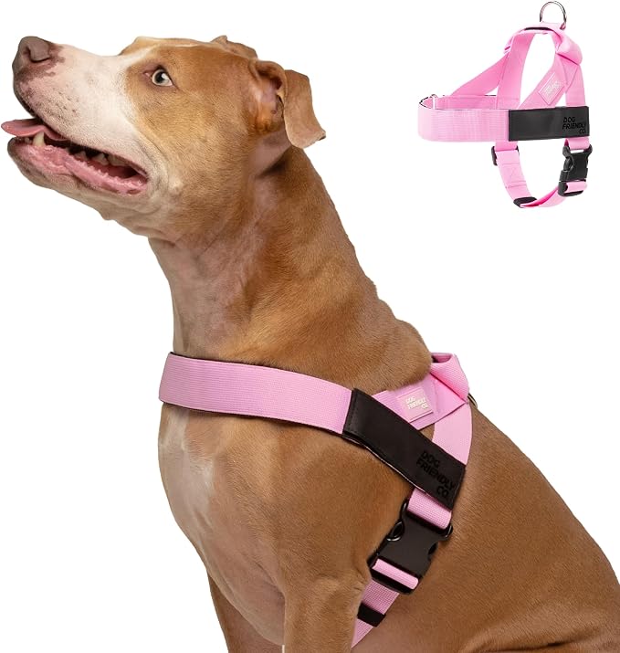 Dog Friendly Co. Dog Harness for Small Dogs (Pink, Small) | One Click Buckle, Chafe Resistant Webbing, Adjustable Neck & Chest, and Heavy Duty D-Ring, Sturdy Comfortable and Easy to Use