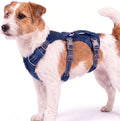 Tuff Pupper Escape Proof Dog Harness for Extra Small Dogs | No Pull Lightweight Adjustable Harness | No Escape Multifunctional Outdoor Pet Gear | Strong Durable Breathable | Secure Comfortable Fit