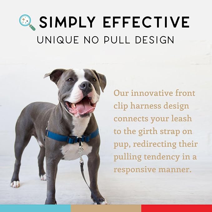No Pull Dog Harness | Comfortable Training Harnesses | Effective No Pull Harness Design | Ideal for Small Dog and Puppy | 4-Point Adjustable (S - 18~24 inch Girth, Navy)