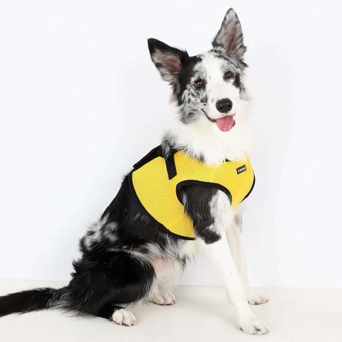 PUPPIA International Harness Soft B Vest, Large, Yellow