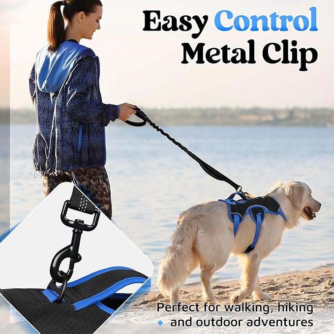 rabbitgoo Escape Proof Dog Harness for Medium, No Pull with Lift Handle | No Escape, Full Soft Padded, Reflective Adjustable Vest, Leash Clip for Walking Hiking Training, Blue & Black, Medium