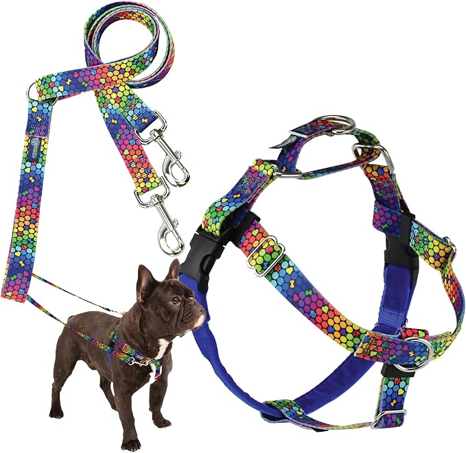 2 Hounds Design - Freedom No-Pull Harness & Training Leash in Blue and Rainbow | Dual Leash Loops, No Pulling on Walks | Lined to Prevent Chaffing | for Small Sized Dogs (Size S, Chest 20”- 24”)