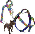 2 Hounds Design - Freedom No-Pull Harness & Training Leash in Blue and Rainbow | Dual Leash Loops, No Pulling on Walks | Lined to Prevent Chaffing | for Small Sized Dogs (Size S, Chest 20”- 24”)
