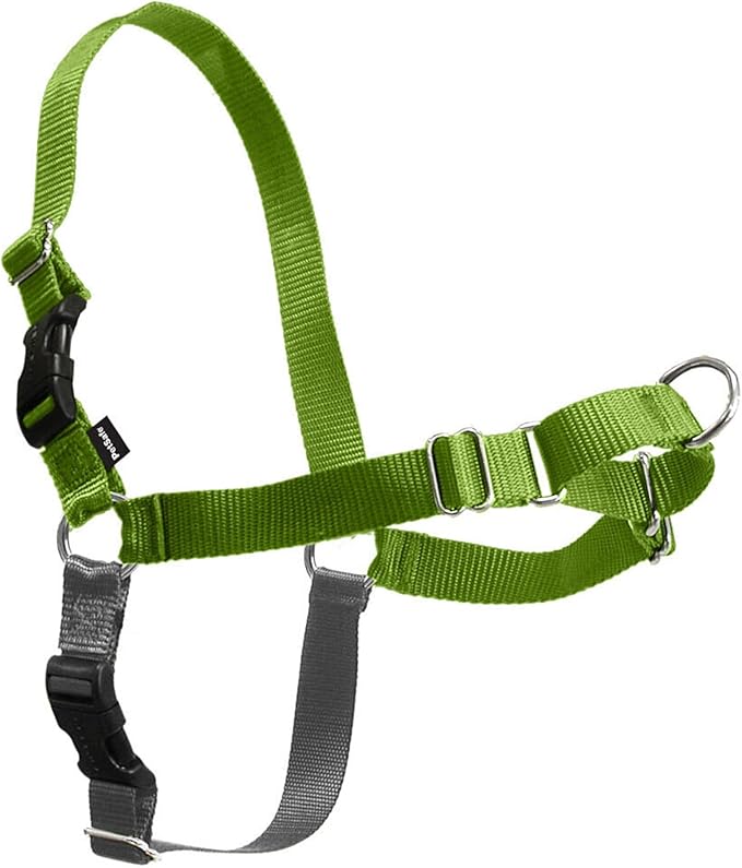 PetSafe Easy Walk Harness, No Pull Dog Harness, Apple Green, Medium/Large | Patented Martingale Loop Gives Gradual Shoulder Pressure to Stop Pulling, Front-Chest Leash Clip Prevents Gagging